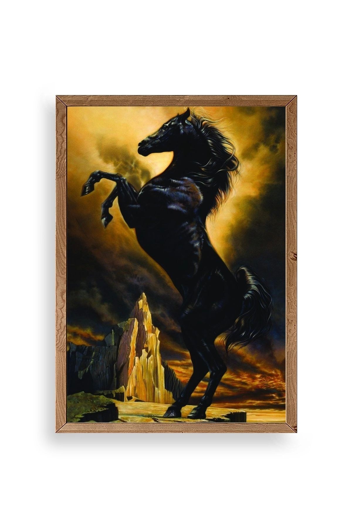 At Ahşap Çerçeveli Tablo 17 x 23