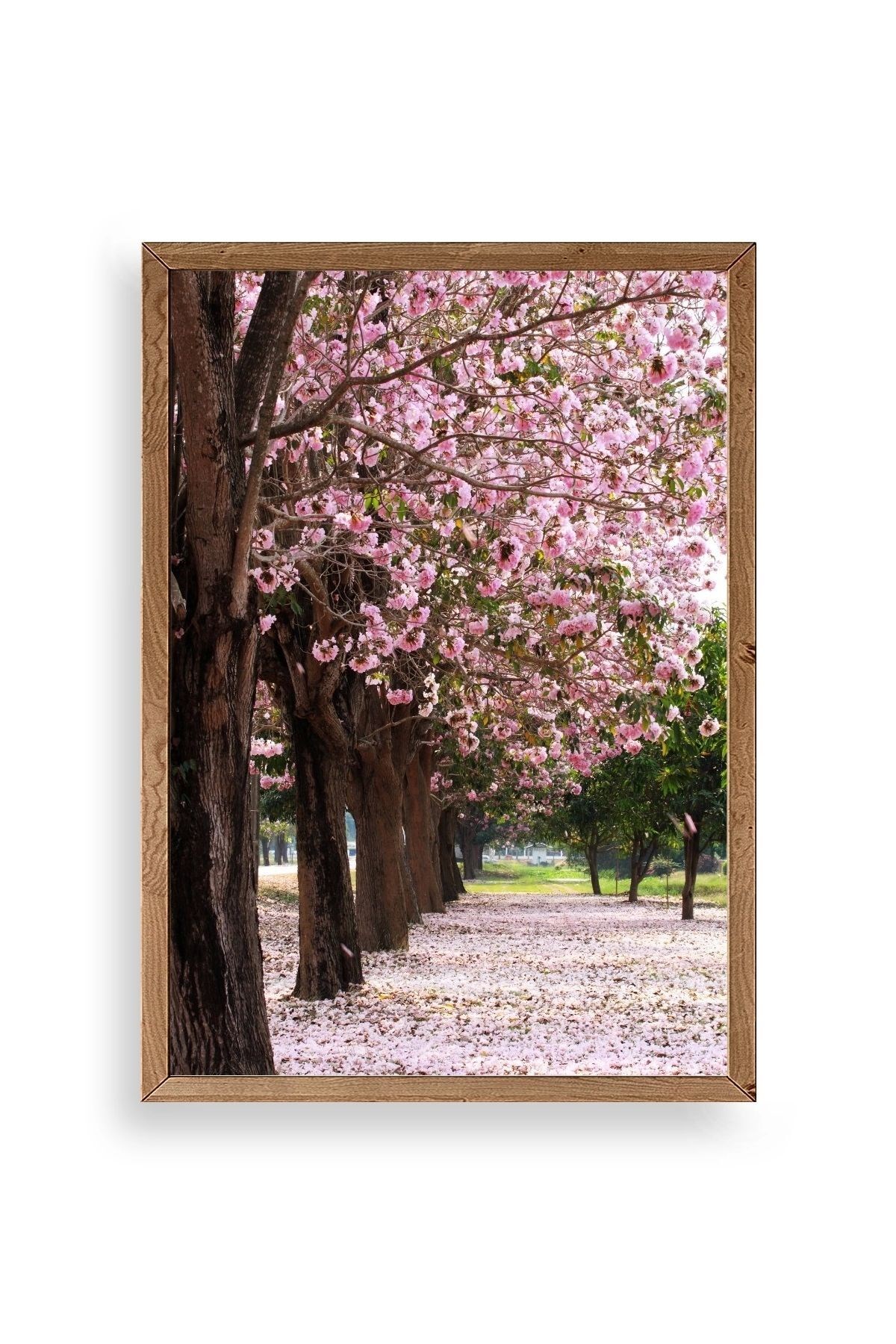 Manzara Ahşap Çerçeveli Tablo 30 x 42