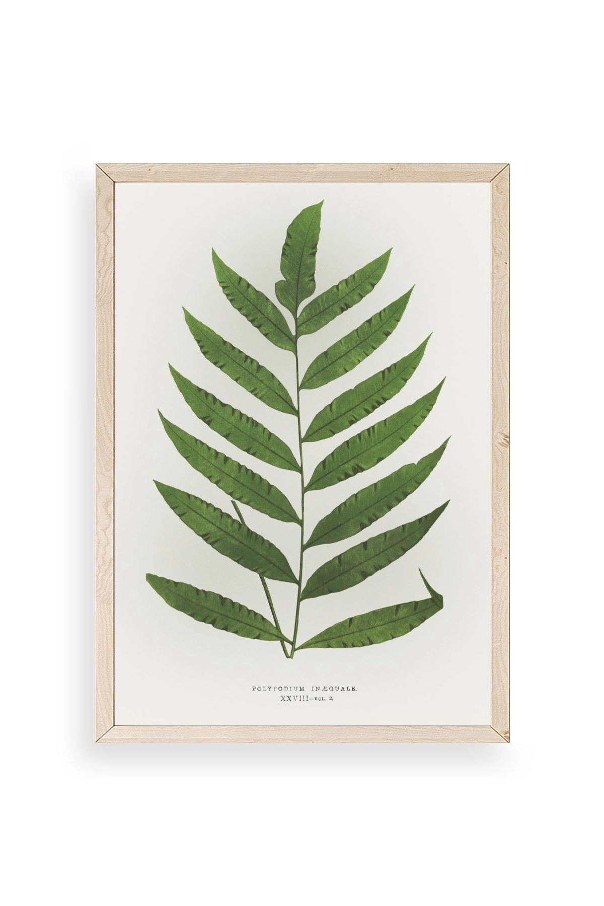 Yaprak Ahşap Çerçeveli Tablo 50 x 70