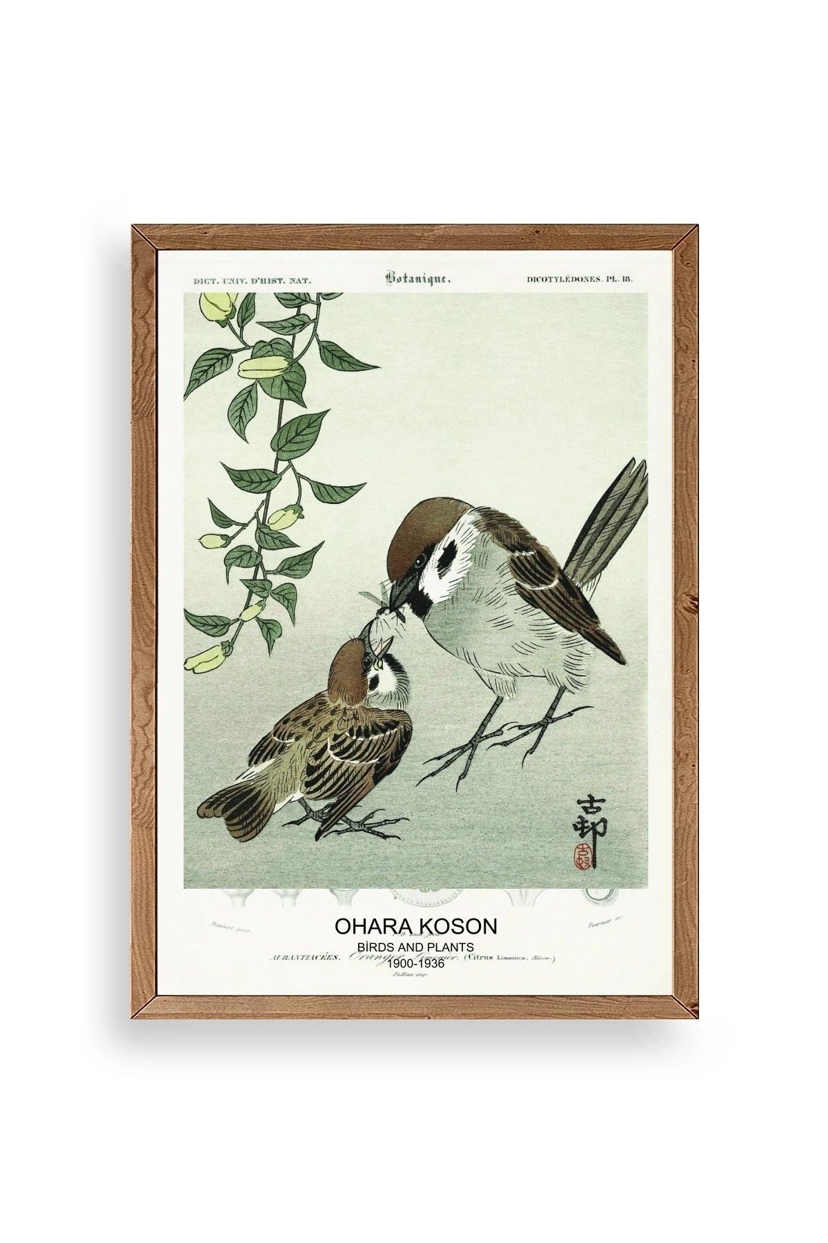 Kuşlar Ahşap Çerçeveli Tablo 30 x 42