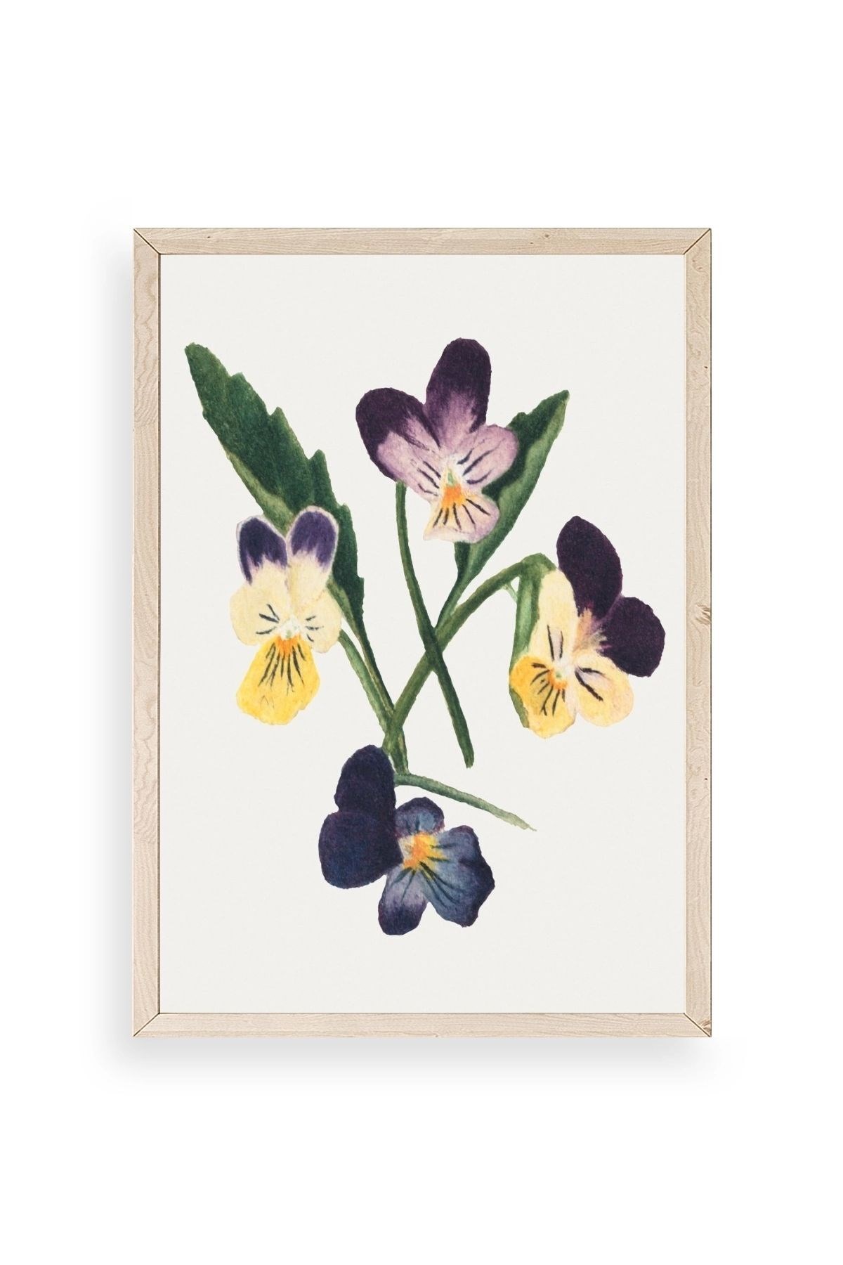 Çiçekler Ahşap Çerçeveli Tablo 50 x 70