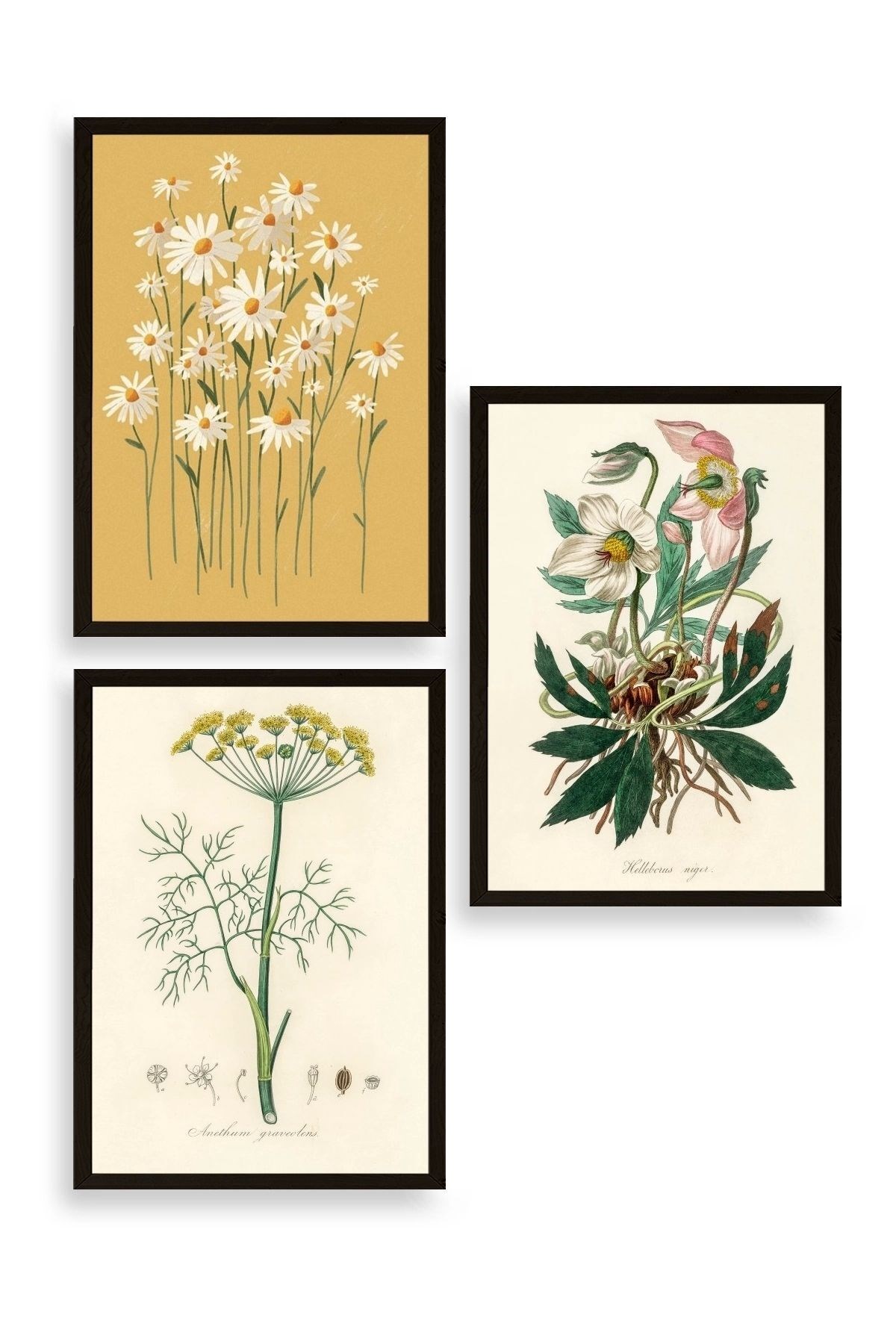 Çiçek Üçlü Ahşap Çerçeveli Tablo 50 x 70