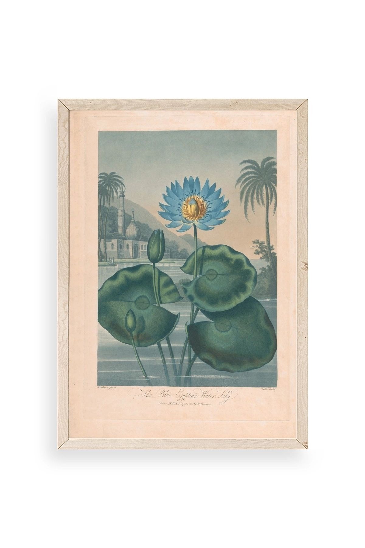 Joseph Constantine Ahşap Çerçeveli Tablo 30 x 42