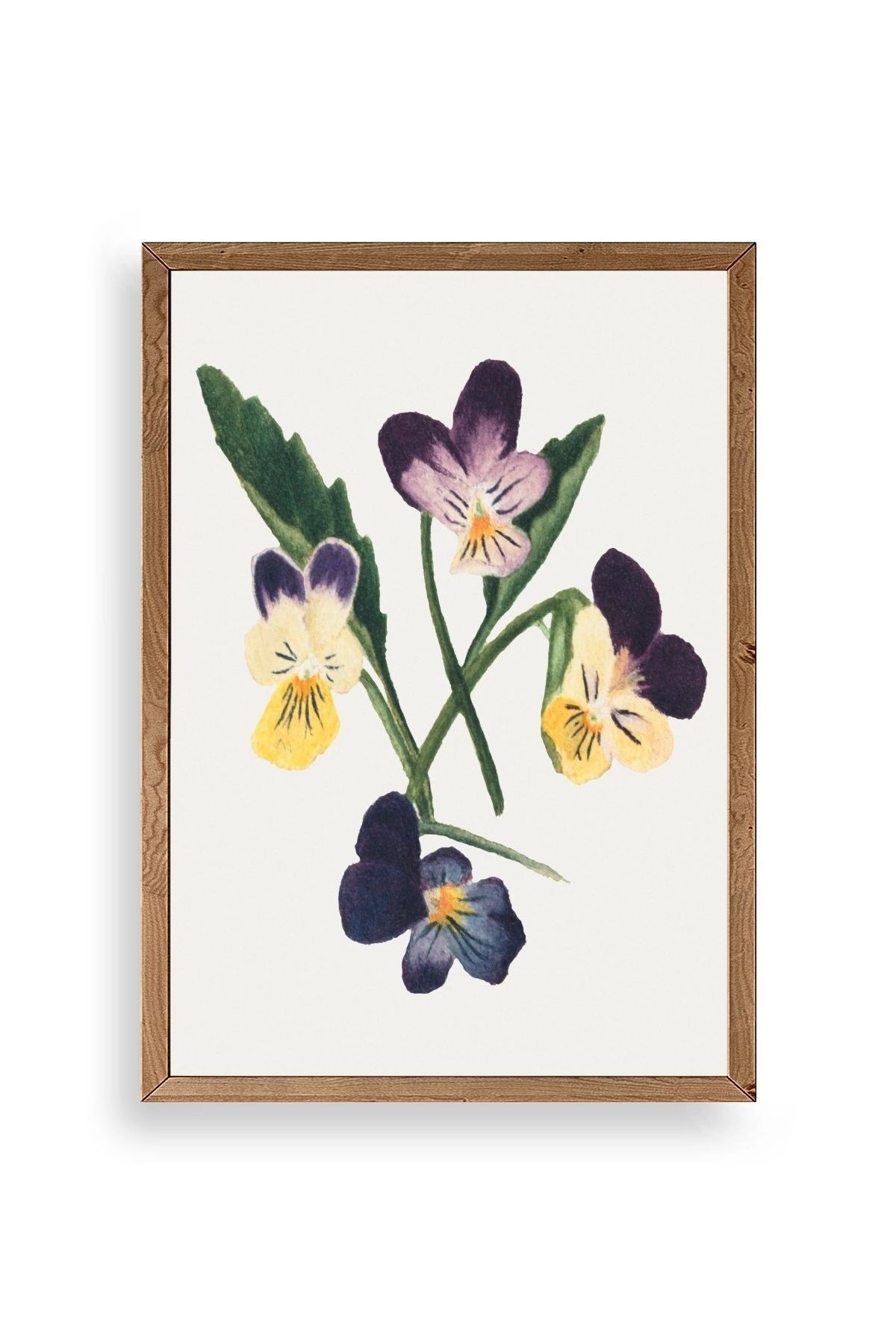 Çiçekler Ahşap Çerçeveli Tablo 30 x 42