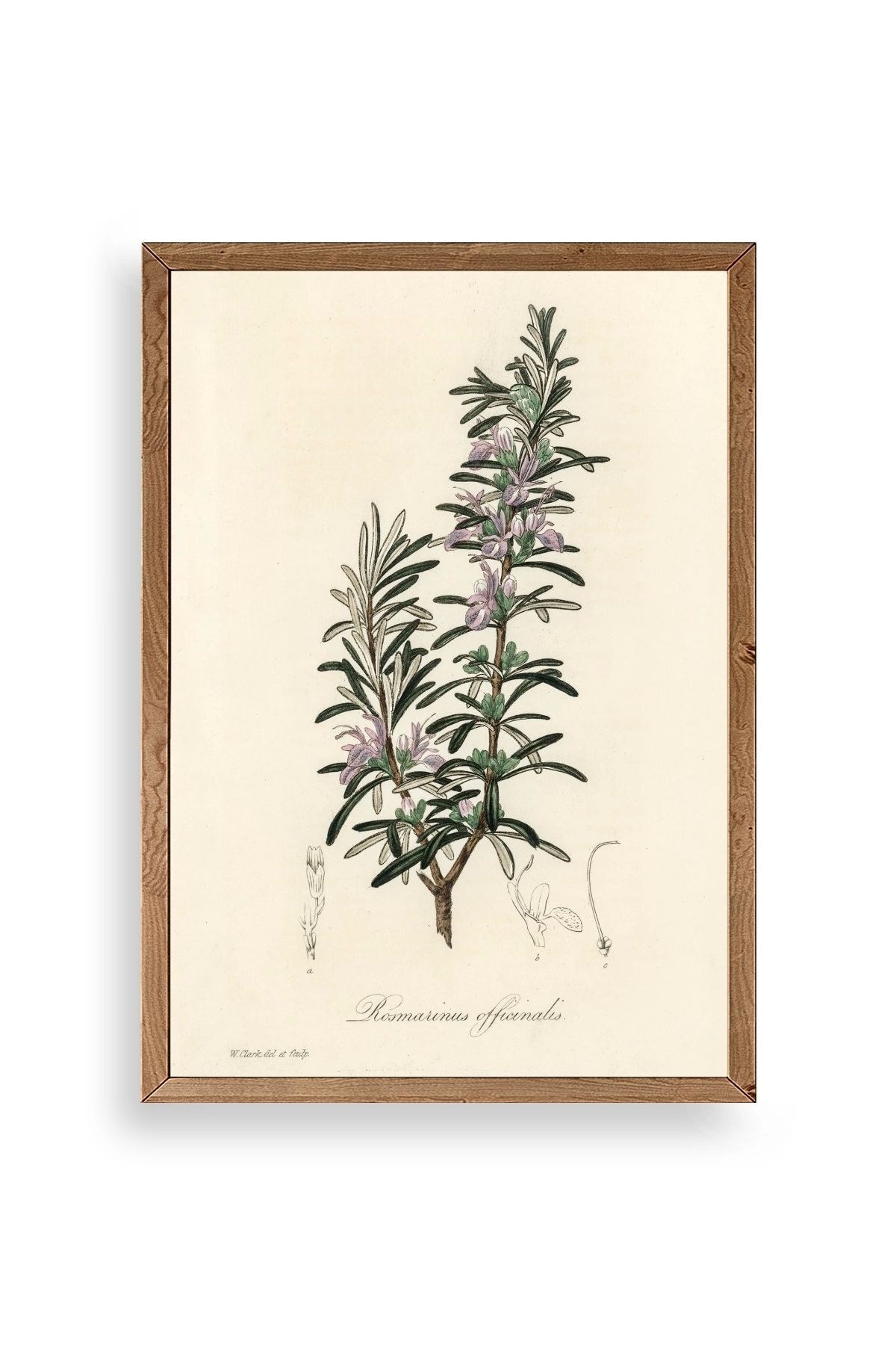 Yaprak Ahşap Çerçeveli Tablo 17 x 23