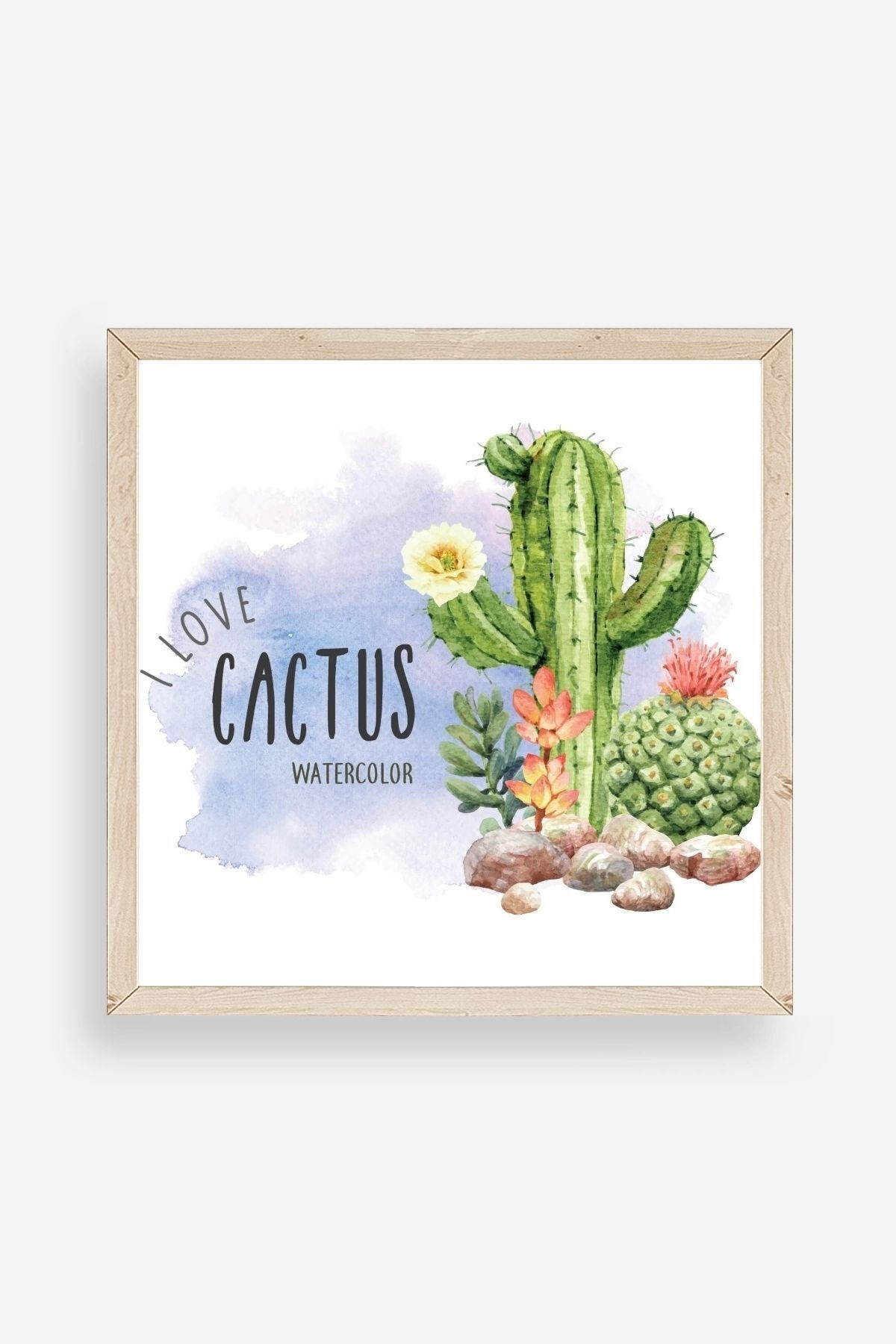 Kaktüs Ahşap Çerçeveli Tablo 42 x 42