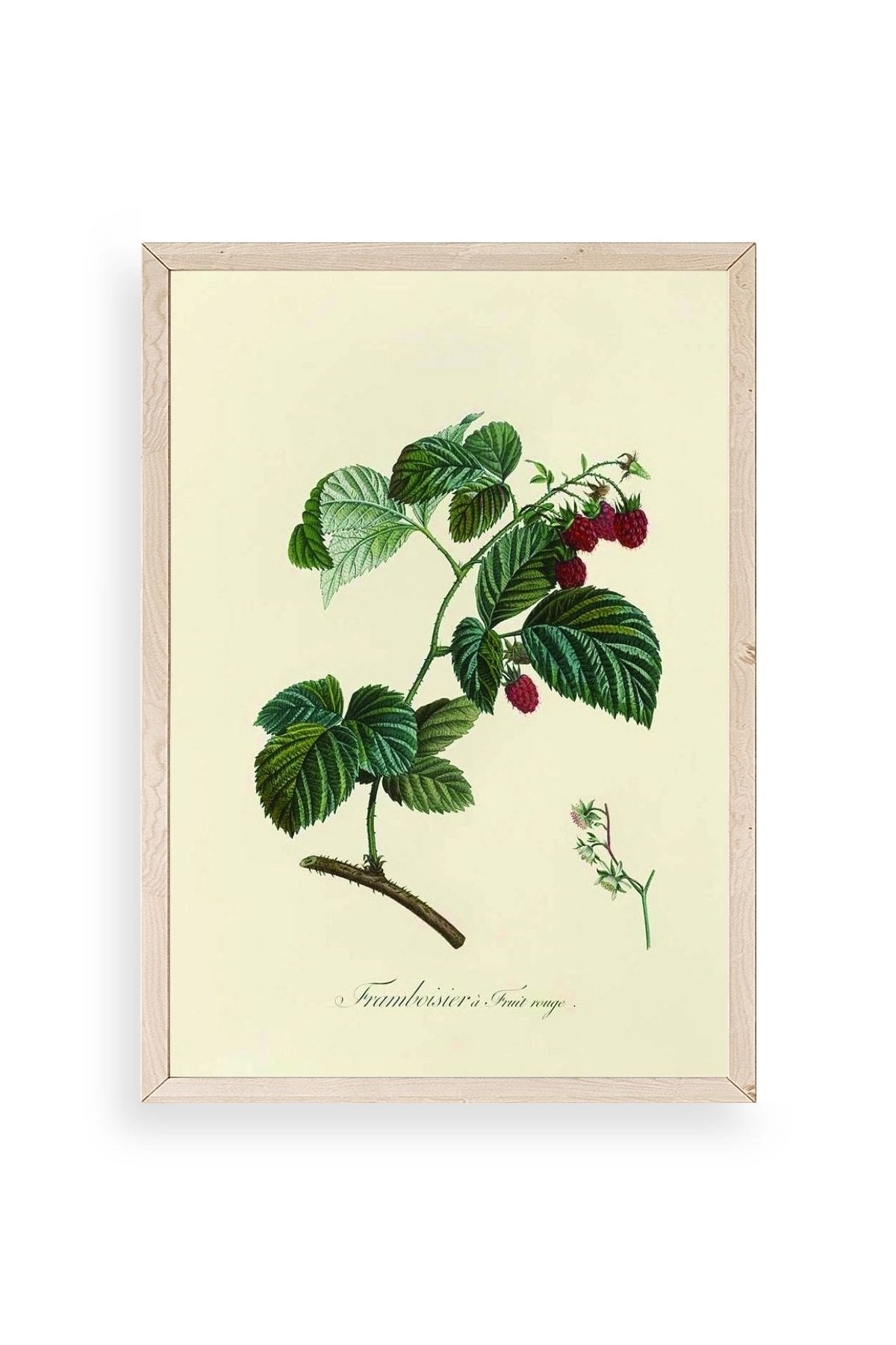 Yaprak Ahşap Çerçeveli Tablo 50 x 70