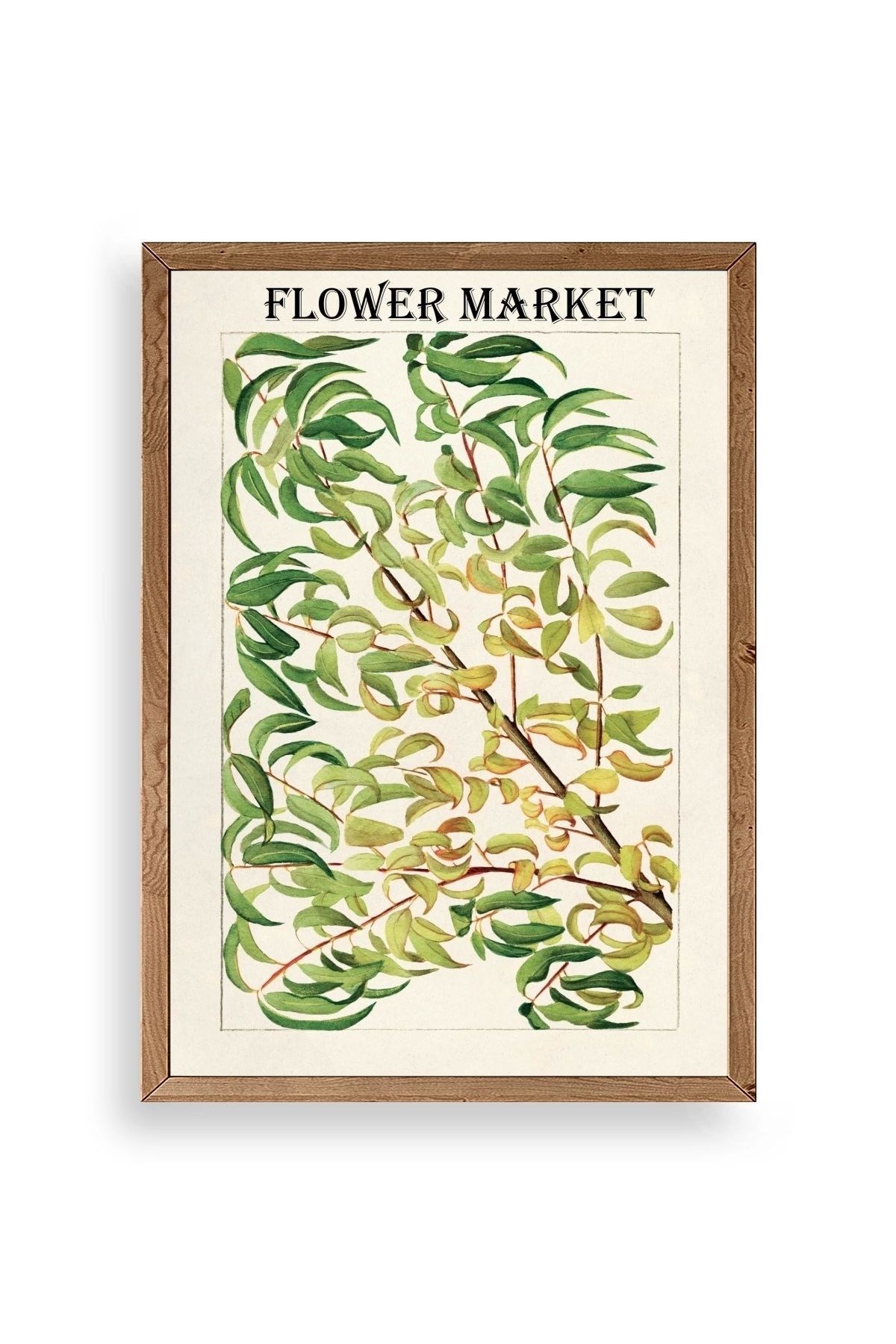 Grancica Breskve Ahşap Çerçeveli Tablo 30 x 42