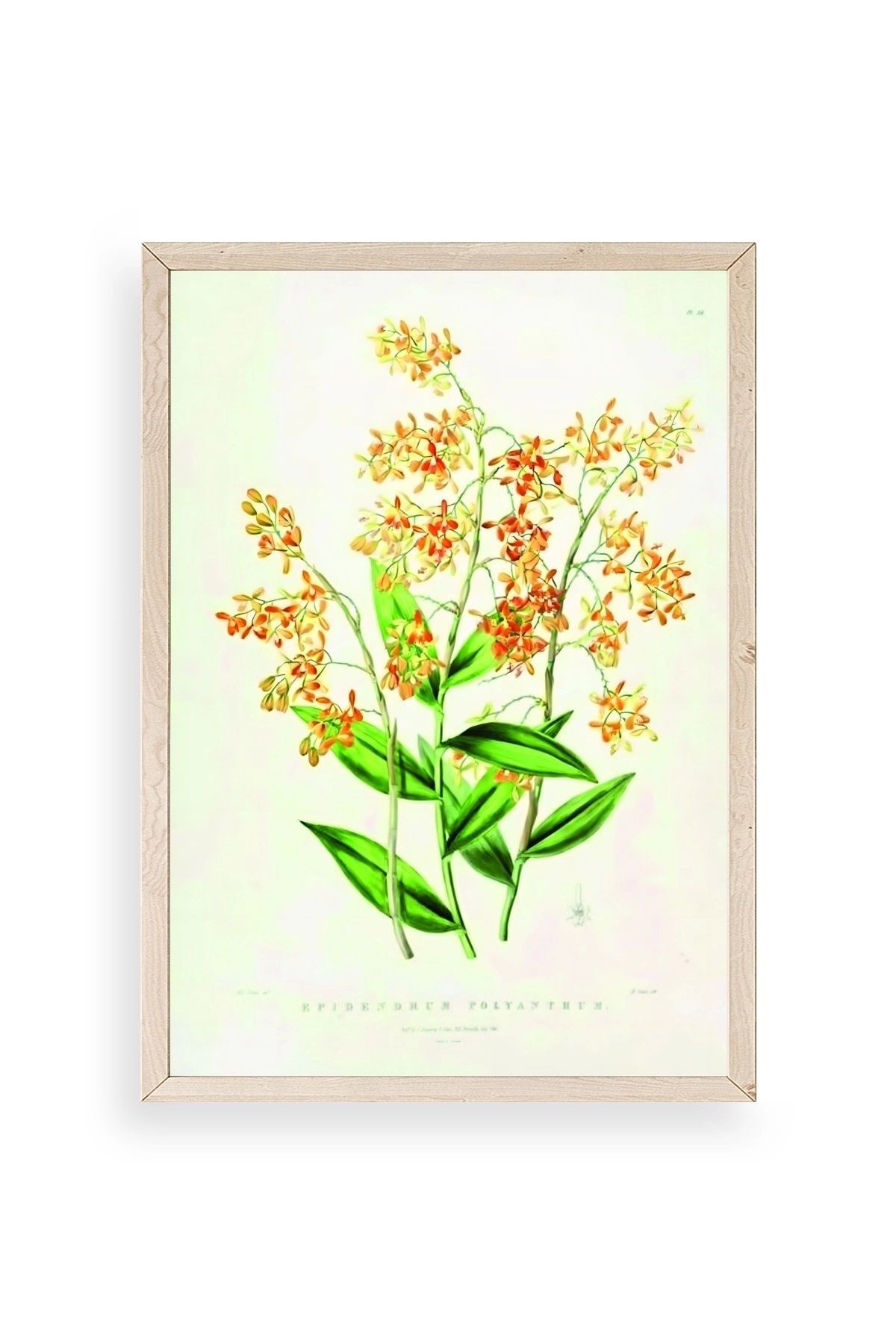 Çiçek Ahşap Çerçeveli Tablo 50 x 70