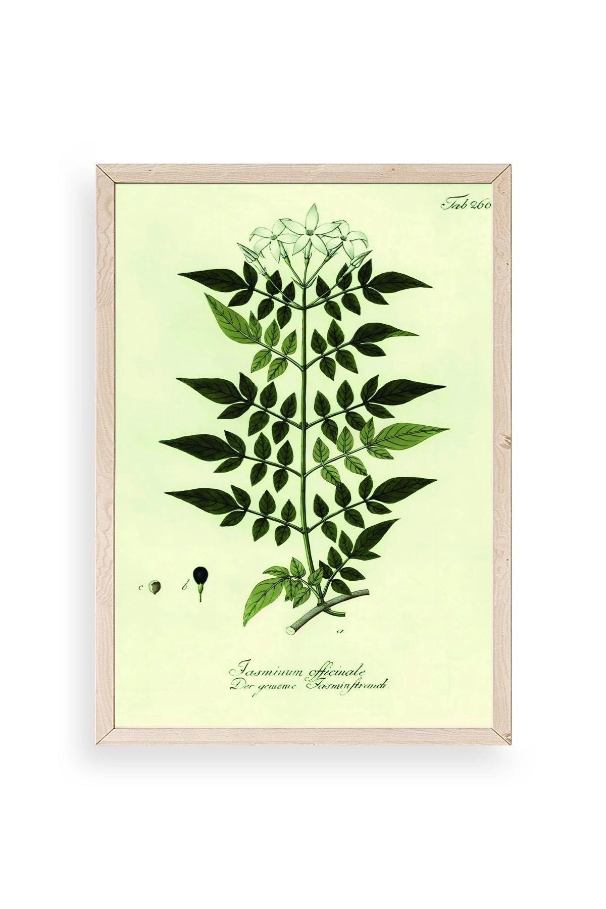 Yapraklar Ahşap Çerçeveli Tablo 50 x 70