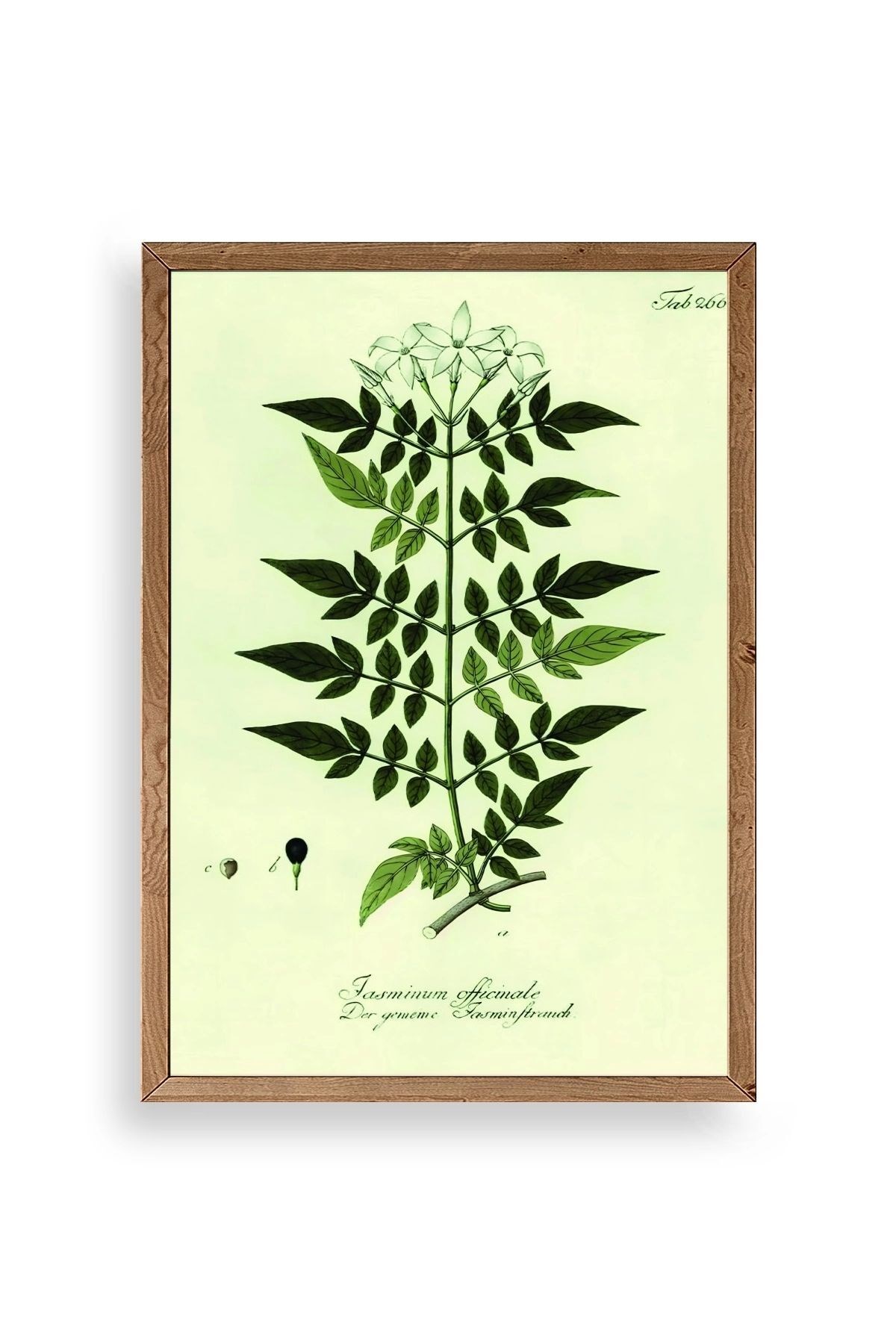 Yapraklar Ahşap Çerçeveli Tablo 30 x 42