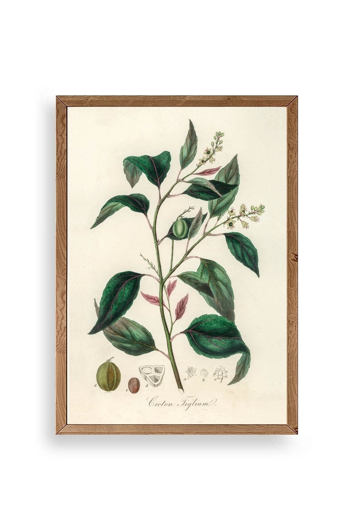 Yaprak Ahşap Çerçeveli Tablo 17 x 23