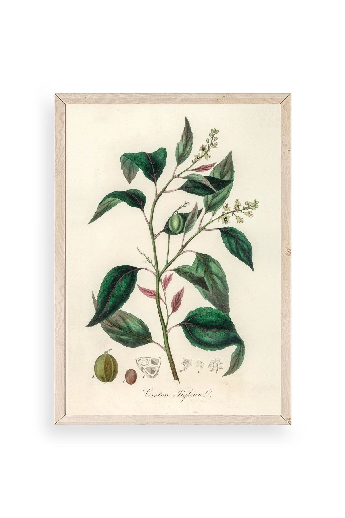 Yaprak Ahşap Çerçeveli Tablo 17 x 23