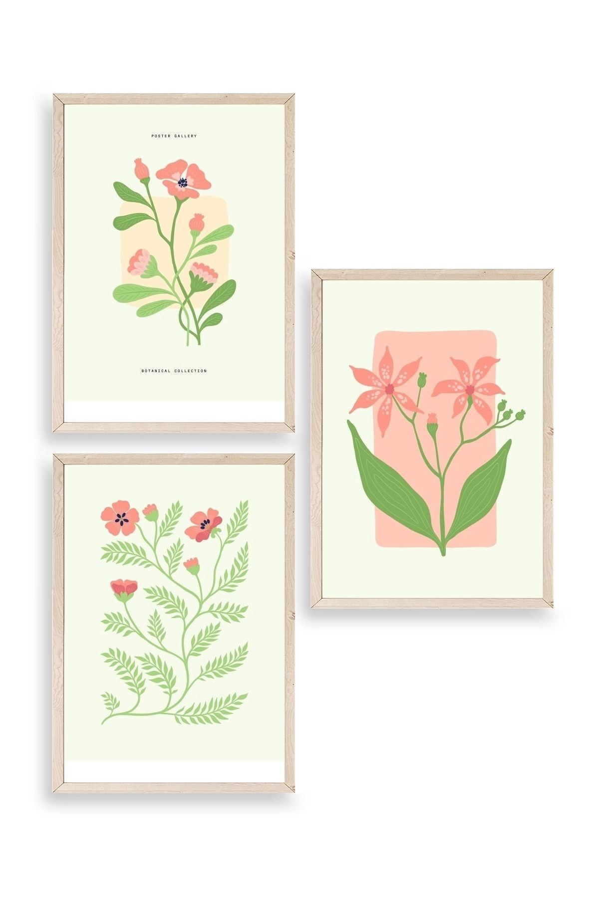 Botanik Üçlü Ahşap Çerçeveli Tablo 50 x 70