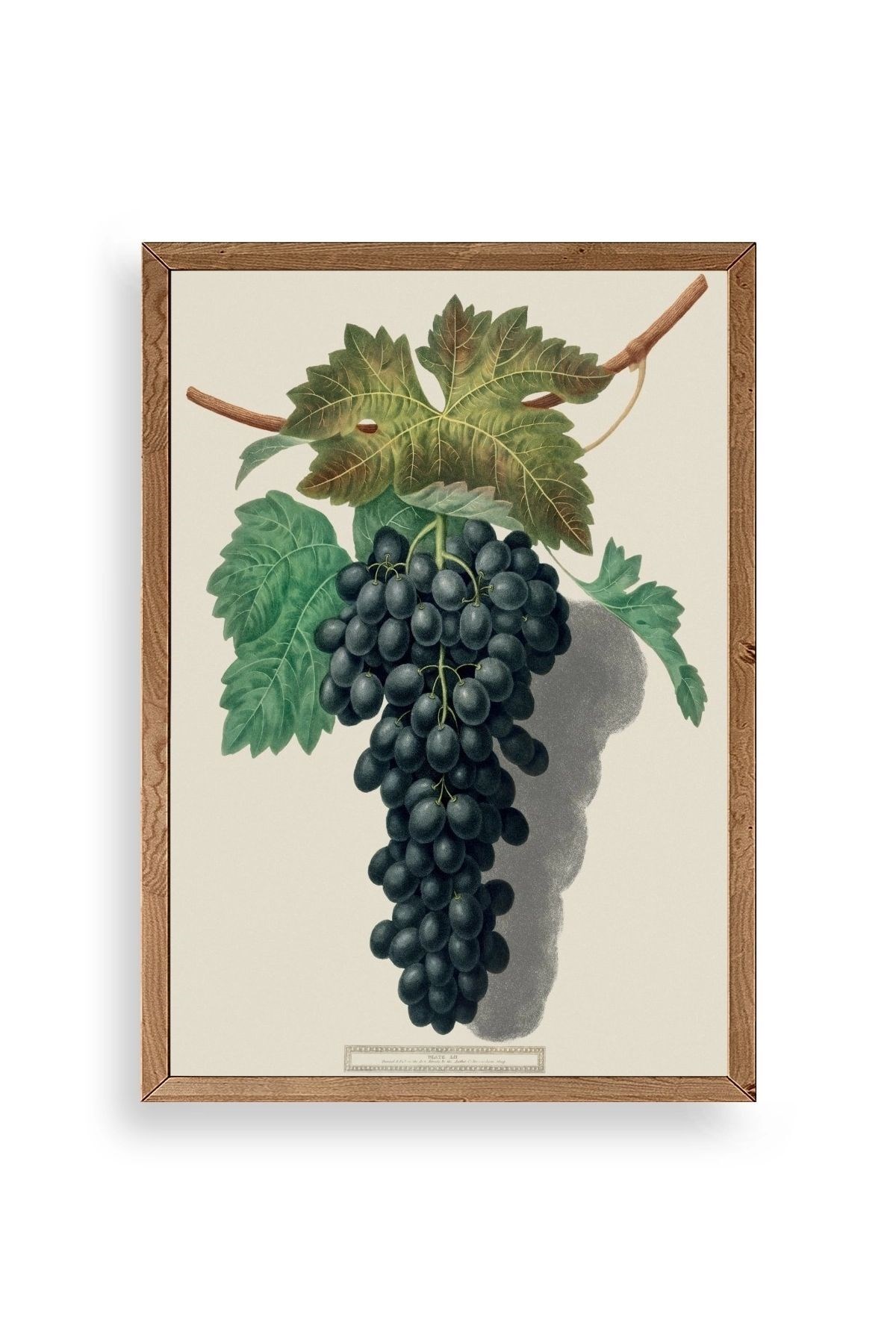 Üzüm Ahşap Çerçeveli Tablo 30 x 42