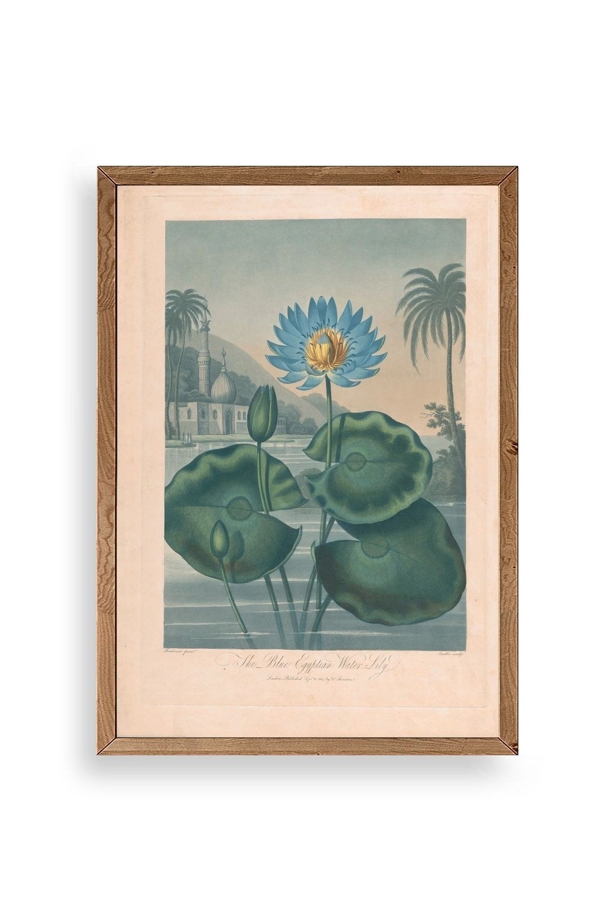 Joseph Constantine Ahşap Çerçeveli Tablo 30 x 42