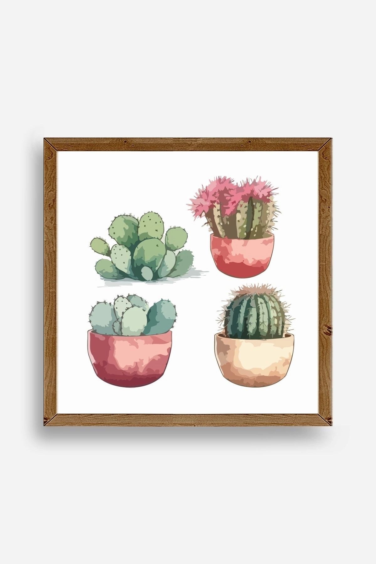 Kaktüs Ahşap Çerçeveli Tablo 50 x 50