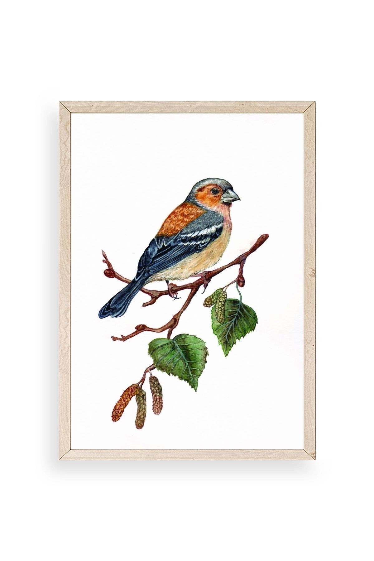 Kuş Ahşap Çerçeveli Tablo 17 x 23