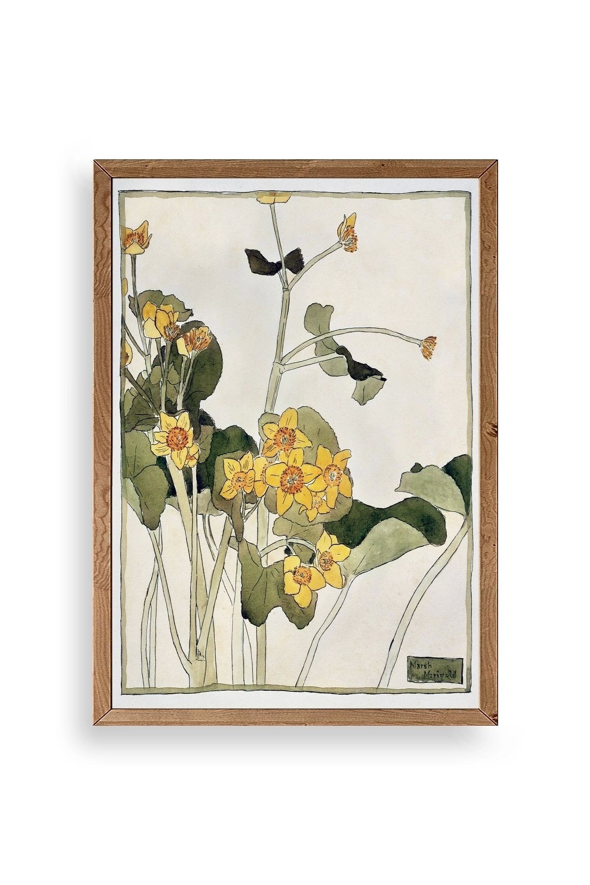 Marsh Marigold Ahşap Çerçeveli Tablo 50 x 70