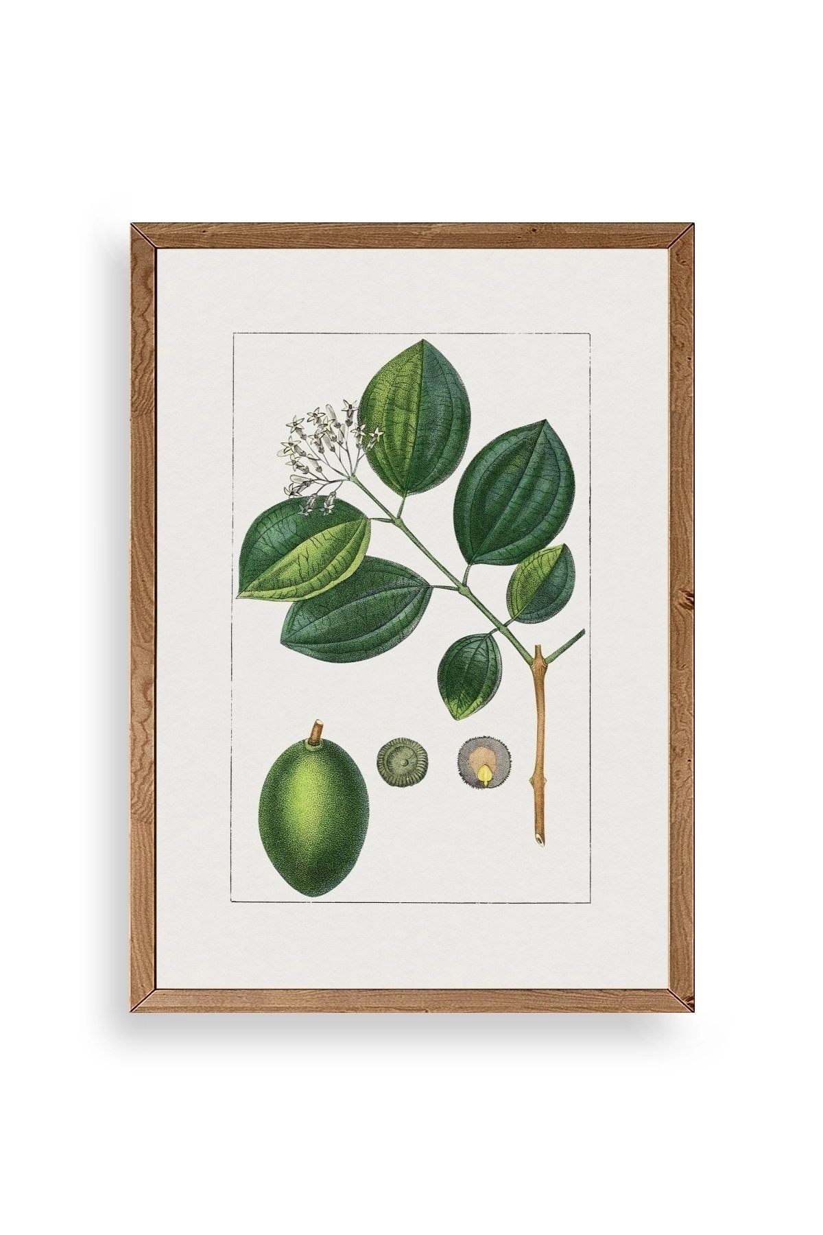 Rosalind Wheeler Ahşap Çerçeveli Tablo 23 x 30