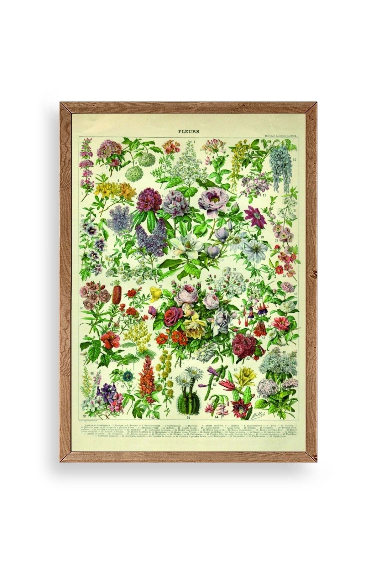 Çiçekler Ahşap Çerçeveli Tablo 30 x 42