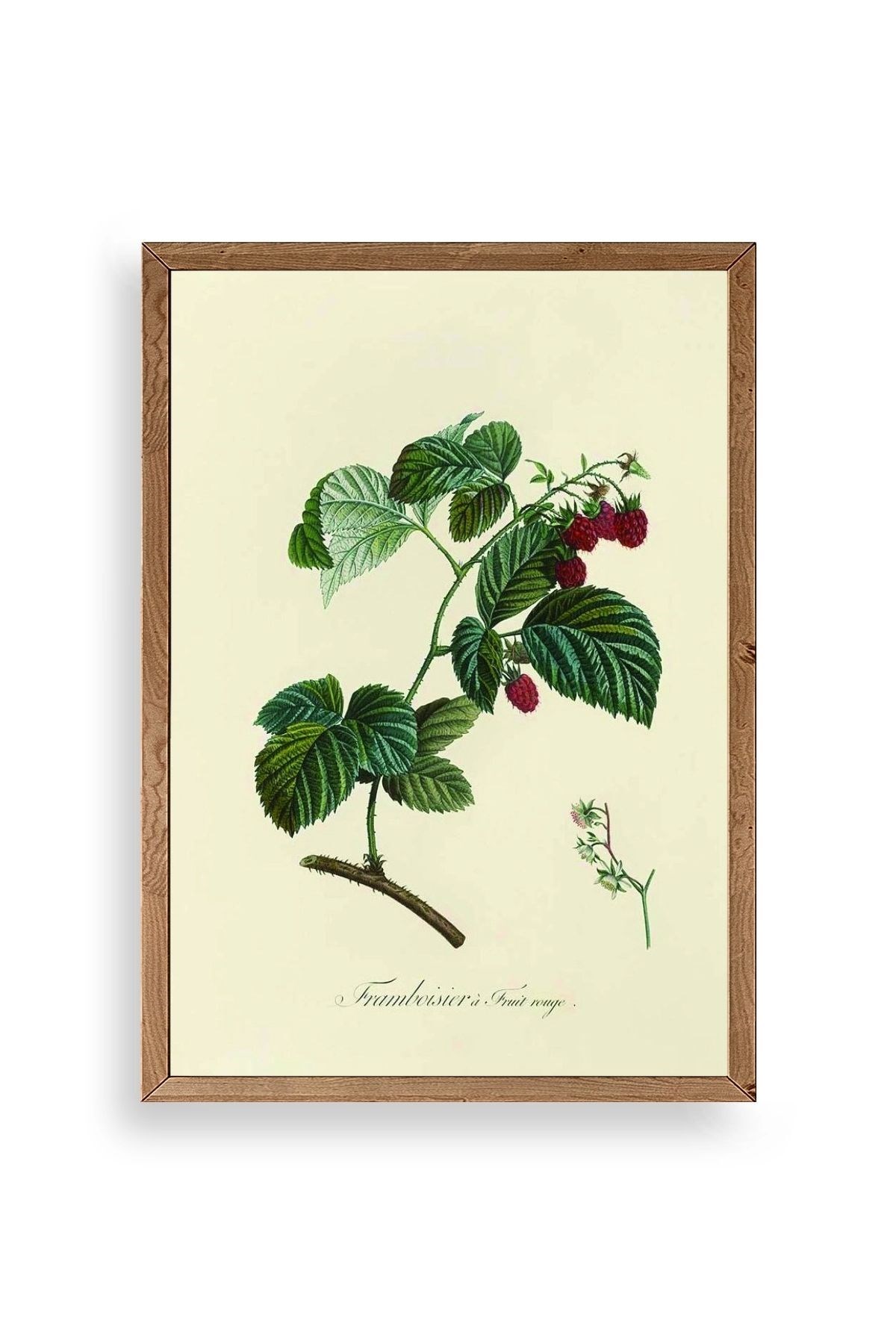 Yaprak Ahşap Çerçeveli Tablo