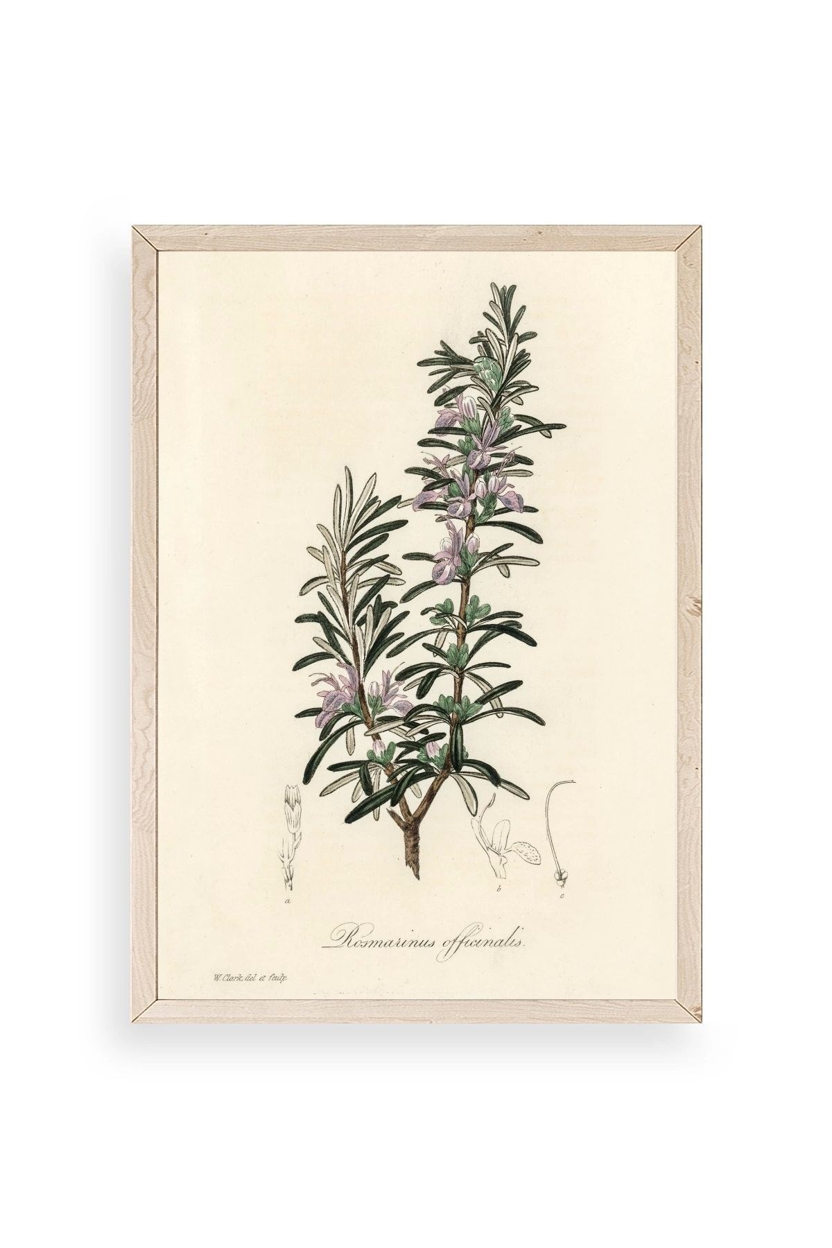 Yaprak Ahşap Çerçeveli Tablo 17 x 23