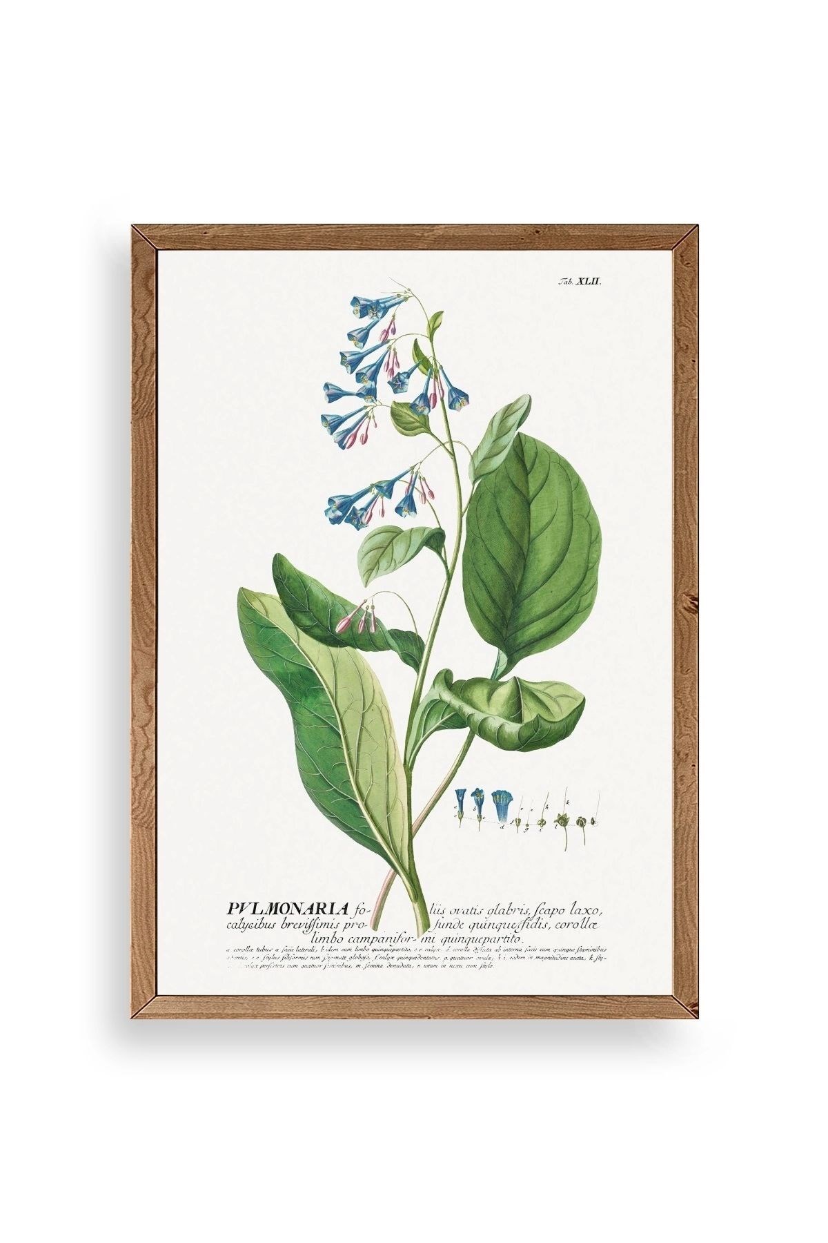 Pvlmonarla Ahşap Çerçeveli Tablo 23 x 30