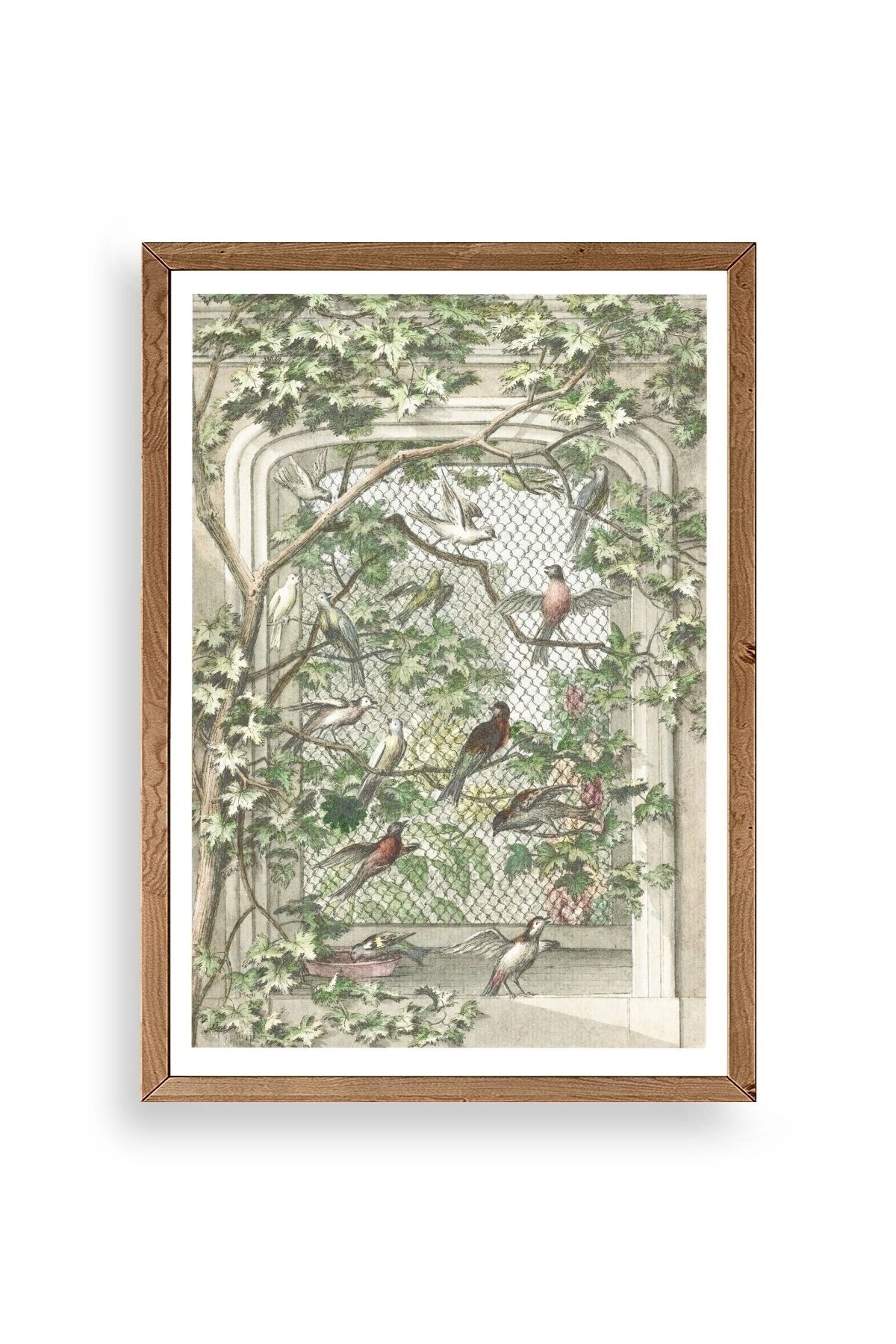 Kuşlar Ahşap Çerçeveli Tablo 50 x 70