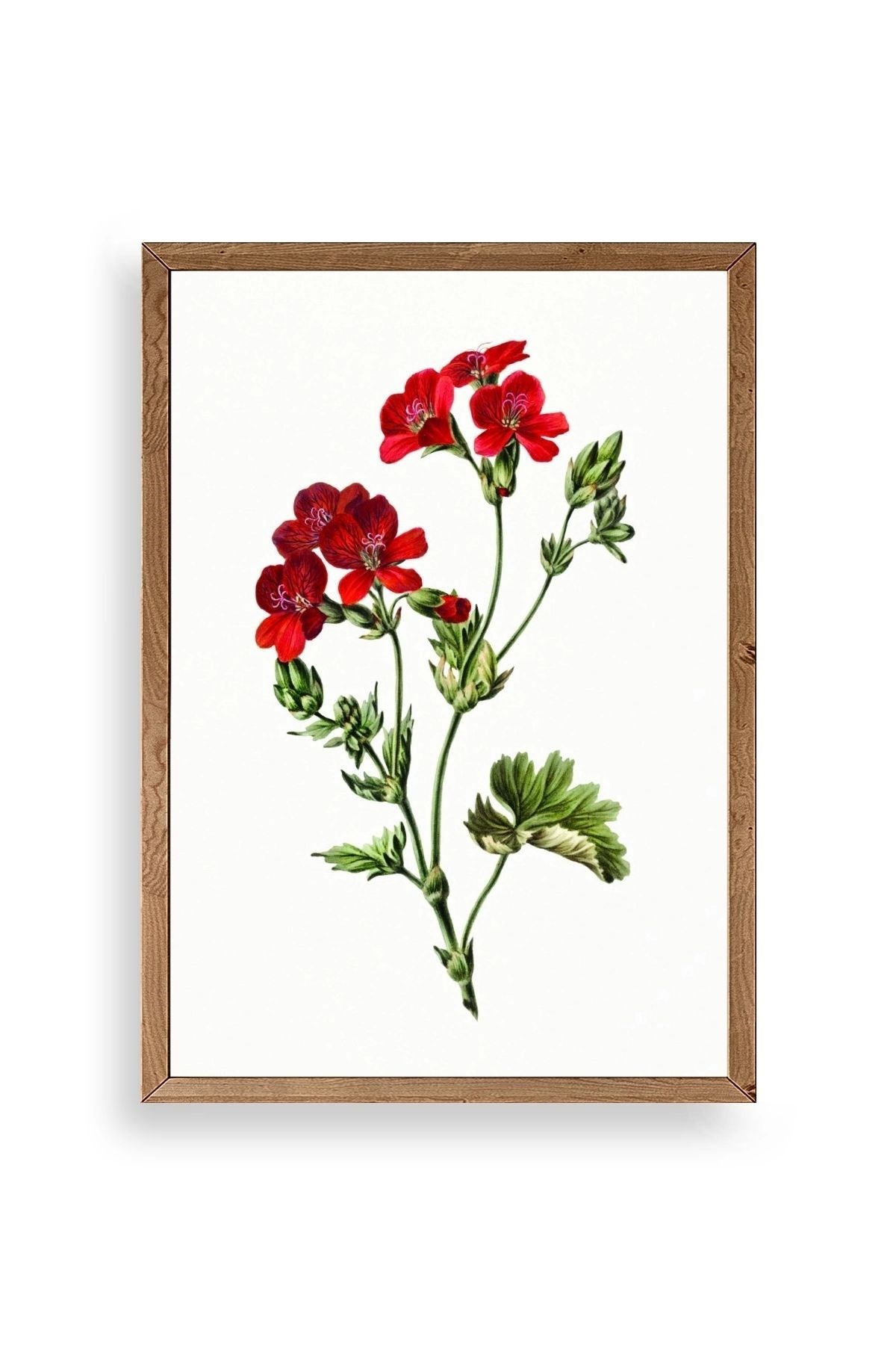 Çiçekler Ahşap Çerçeveli Tablo 30 x 42