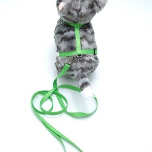 Kedi Düz Göğüs Tasması Ve Gezdirme Seti Ps9643