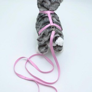 Kedi Düz Göğüs Tasması Ve Gezdirme Seti Ps9640