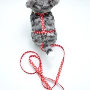 Kedi Patili Göğüs Tasması Ve Gezdirme Seti Ps9647