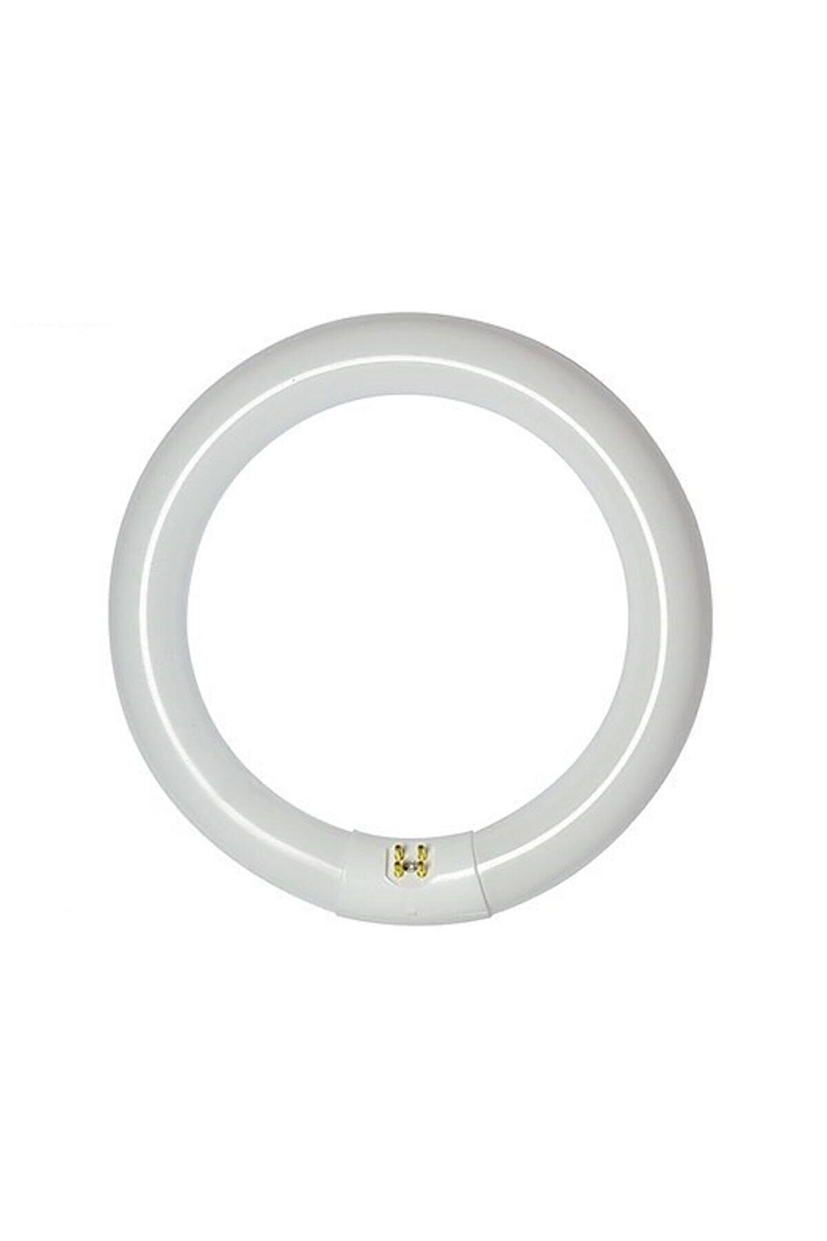 Ligtex 3w Florasan Simit Ampul T9 2100lm