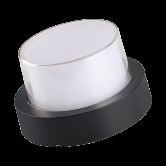 12W Carina Led Garden Ceiling And Wall Luminaire - 39029