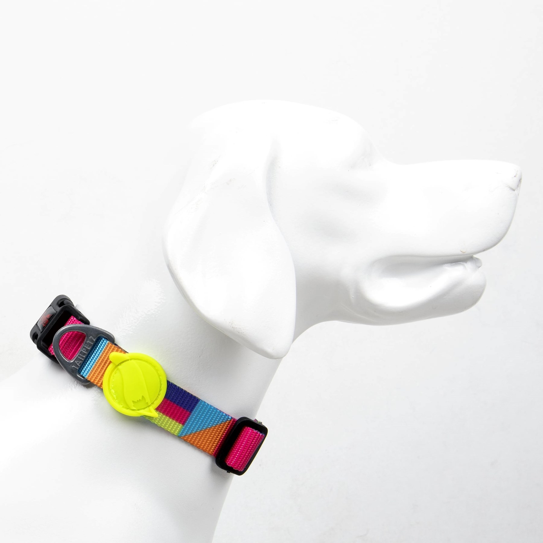 Tailpetz Köpek Boyun Tasmaları