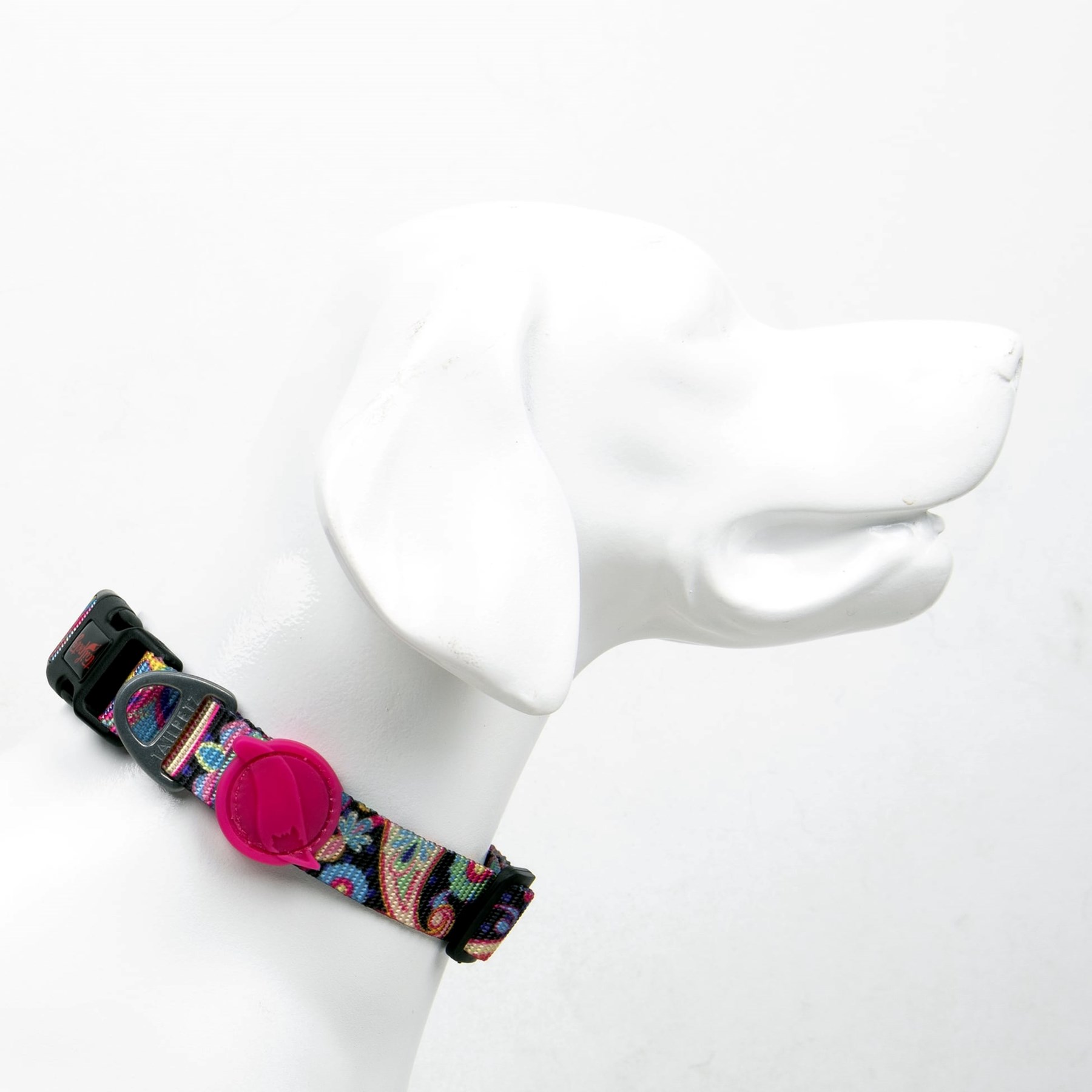 Tailpetz Köpek Boyun Tasmaları