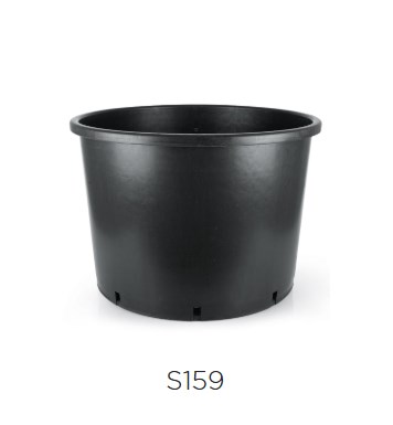 SERİNOVA Basık Saksı