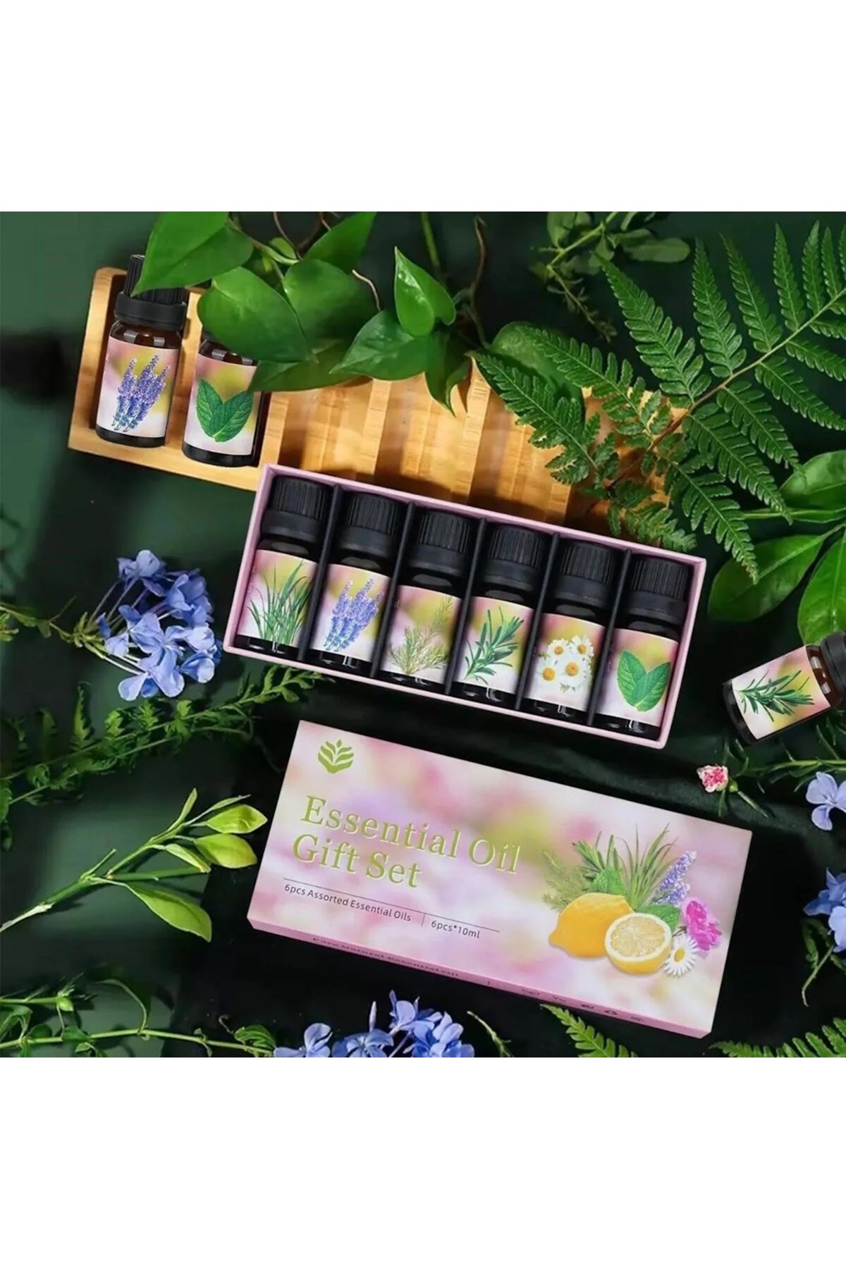 6'lı Ekonomi karışık SET Esansiyel Uçucu Yağı Buhardanlık Difüzör Esansı Oda Kokusu