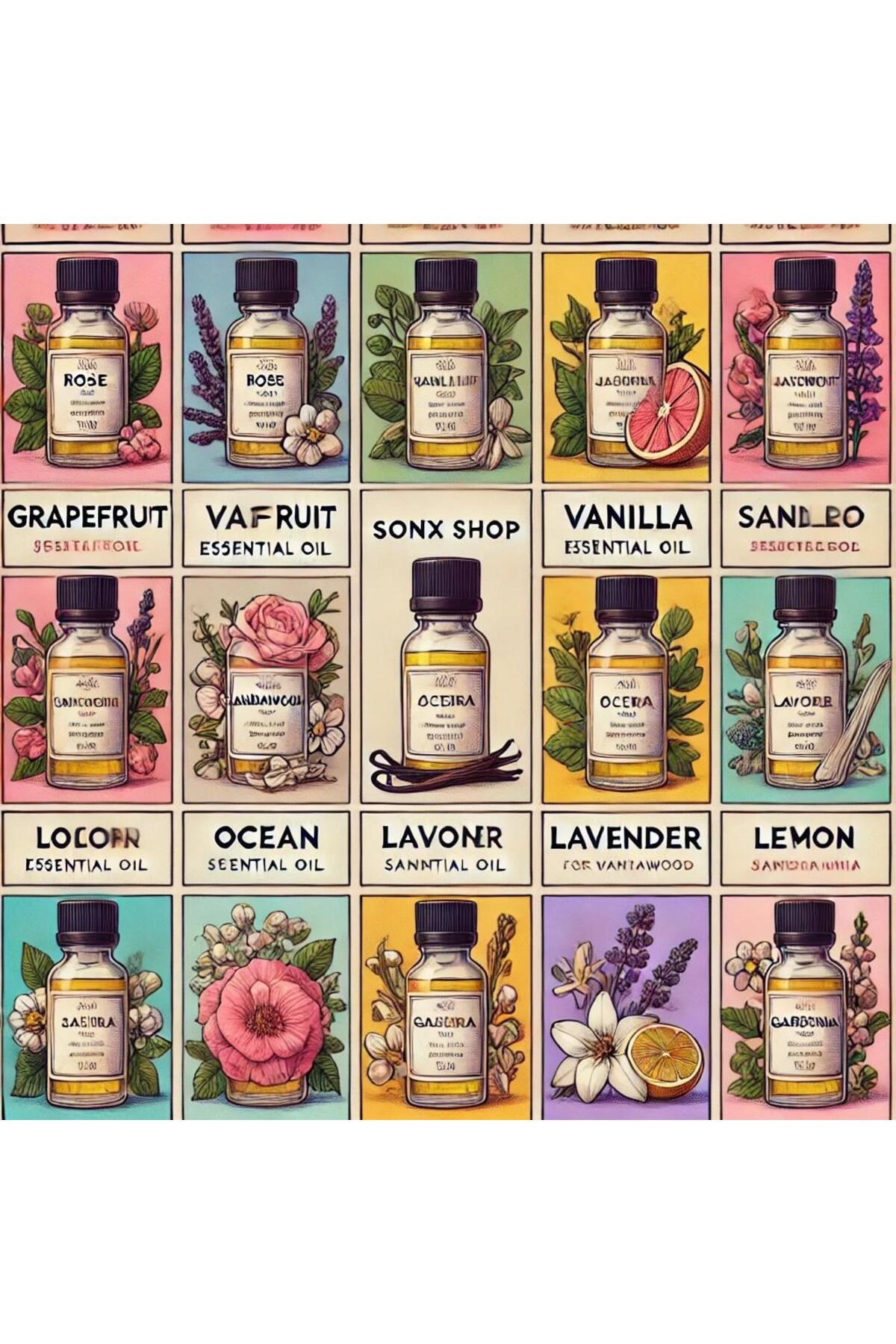 Favori 10'lu Set Esansiyel Uçucu Yağ Buhurdanlık Hava Nemlendirici Aroma Difüzörü Kokusu Esans — Sonxshoop