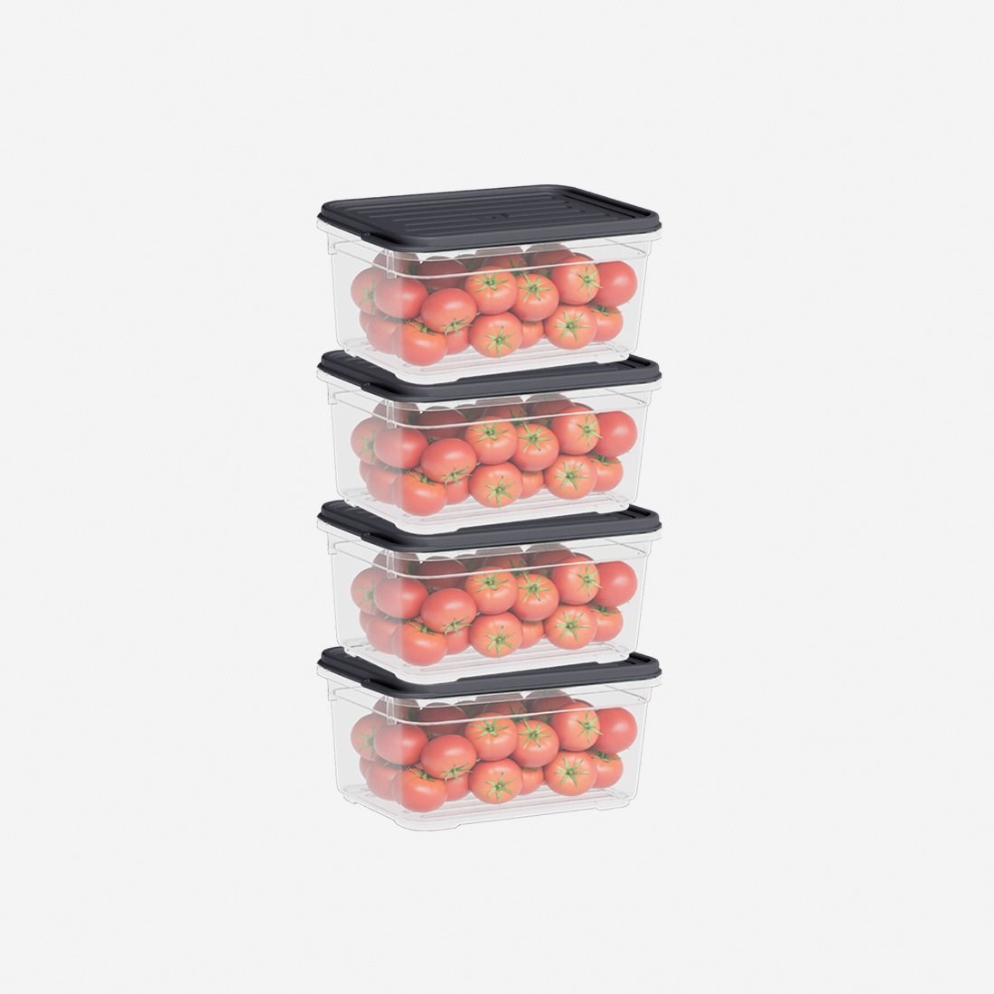 4'Lü 700 Ml Smart Container Set