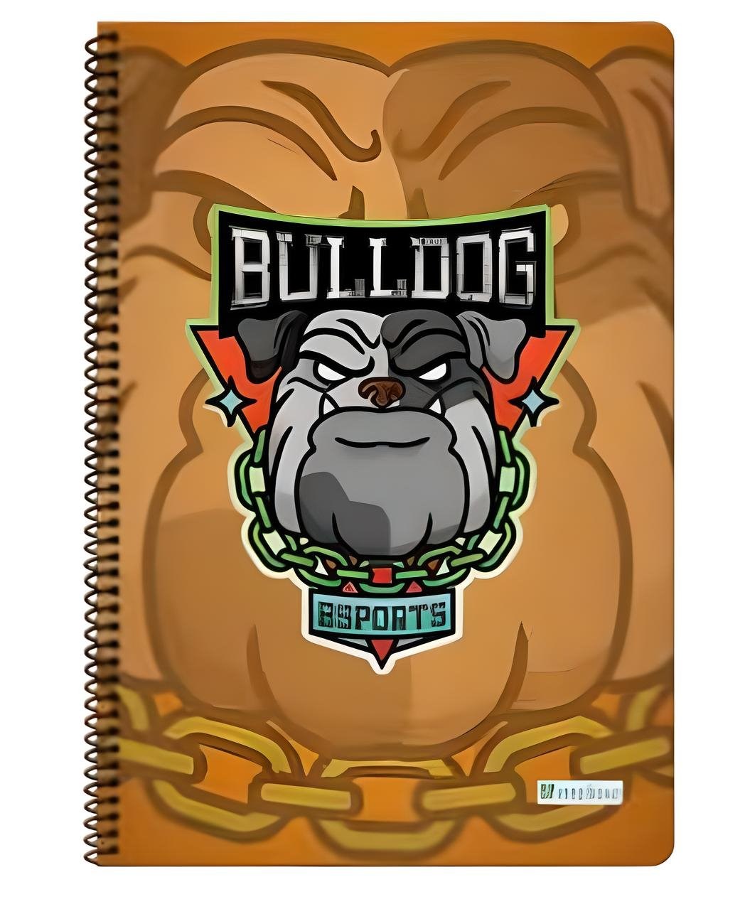 Gamer A-4 P.P Kapak Çizgili 120 Yaprak