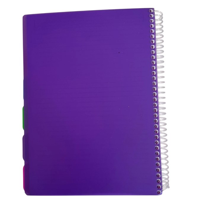 Star P.P Kapak A-4 Ayraçlı 6+3+1 250 Yaprak