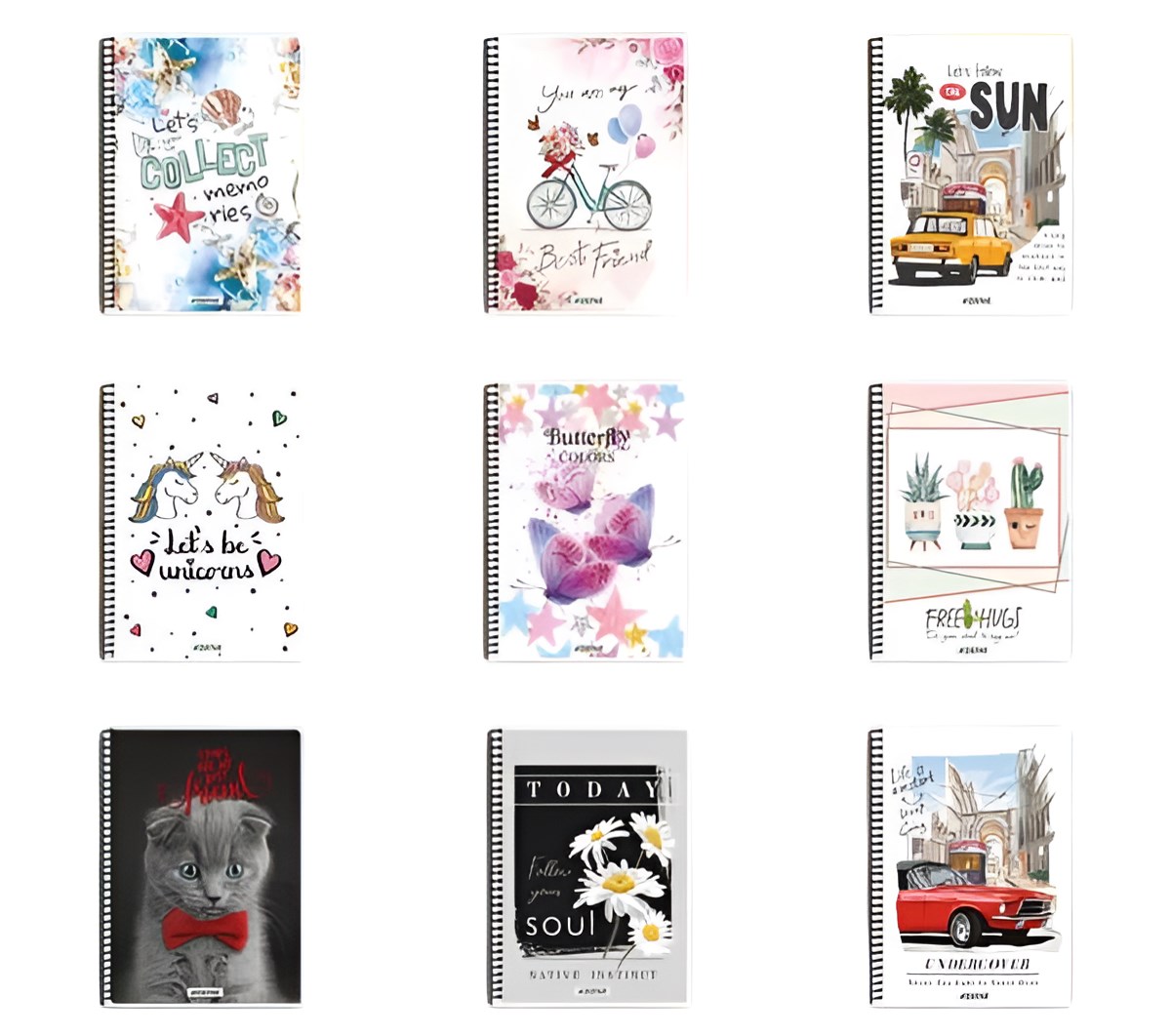 Helena A-4 P.P Kapak Çizgili 60 Yaprak