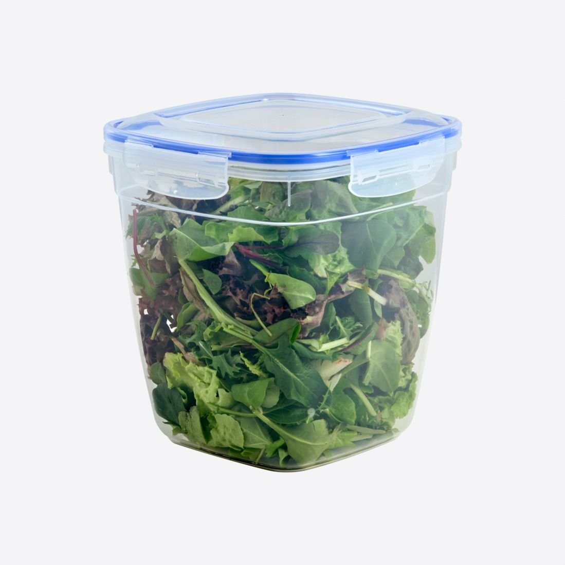 5000 Ml Contalı Derin Kare Saklama