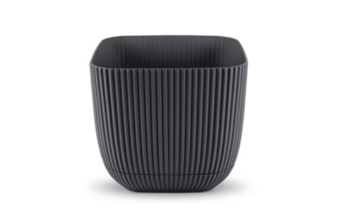 3 No Mercan Kare Saksı