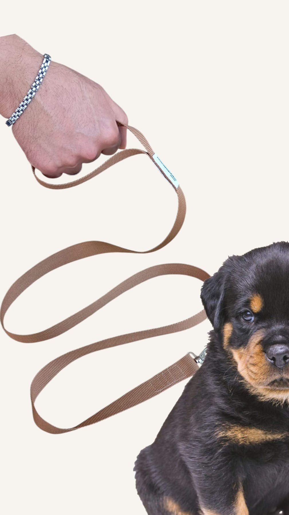 KÖPEK GEZDİRME İPİ