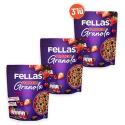 Fellas Granola 3'lü - Kırmızı Meyveler & Protein Bar Parçacıklı 270g 