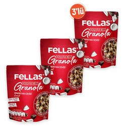 Fellas Granola 3'lü - Hindistan Cevizi & Protein Bar Parçacıklı 270g 