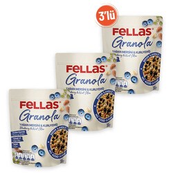 Fellas Granola 3'lü - Yaban Mersinli & Kuruyemişli 300g 